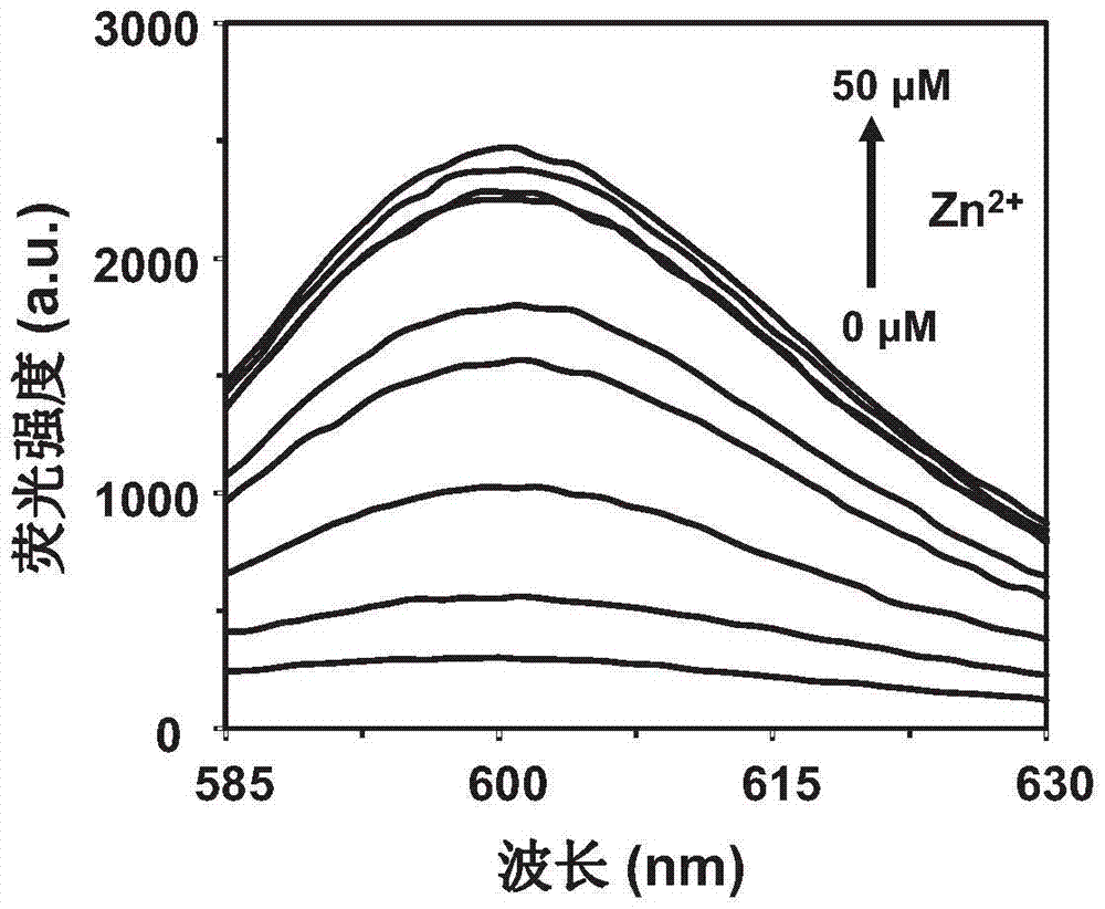 Zinc ion detection method