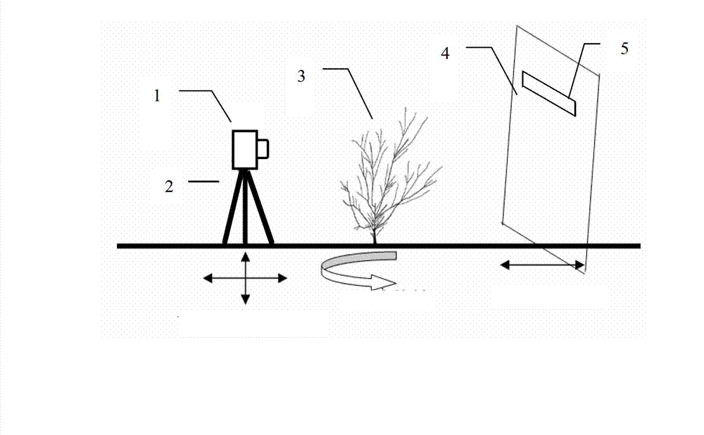 Method for obtaining shrub branch length based on digital image technology