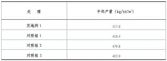 Special Compound Microbial Fertilizer for Corn Topdressing