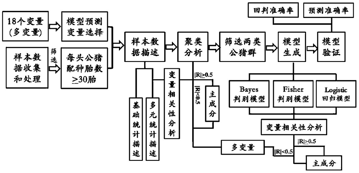 A Mathematical Model for Assessing Duroc Boar Fertility and Its Establishment