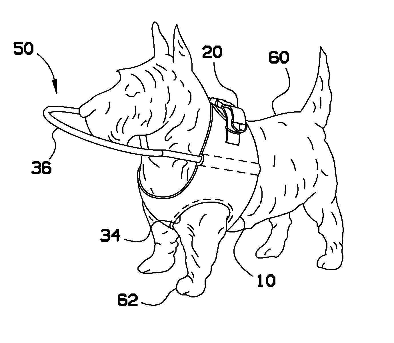 Dog vest with integrated flexible bumper