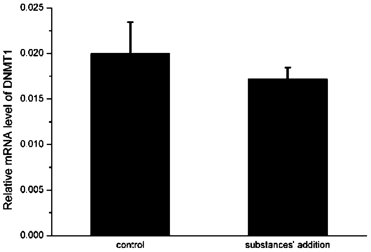 Function of Trichosanthiol in Decreasing the Expression Level of DNA Methyltransferase