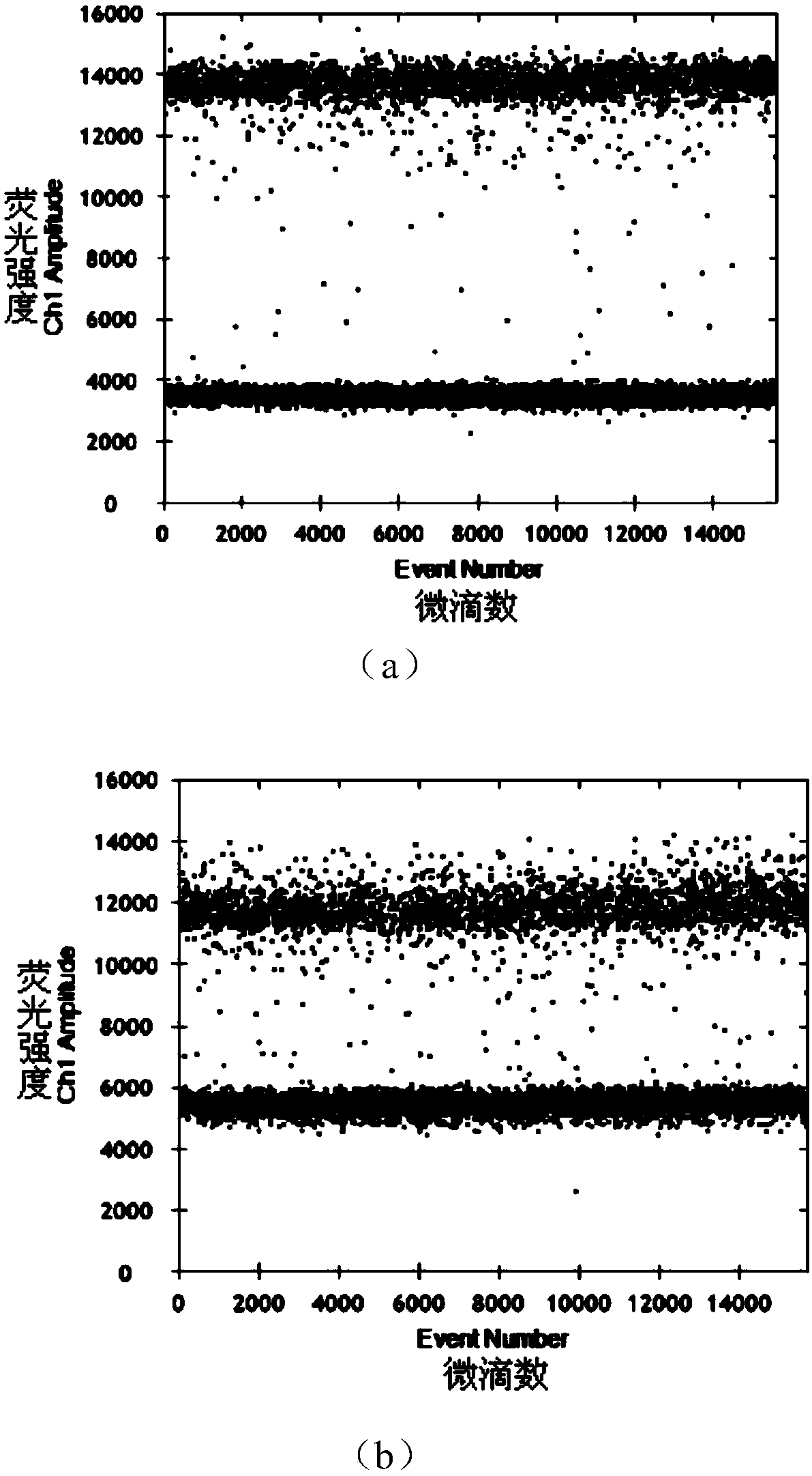 Glyphosate resistance screening marker gene and its application in maize transgenic technology