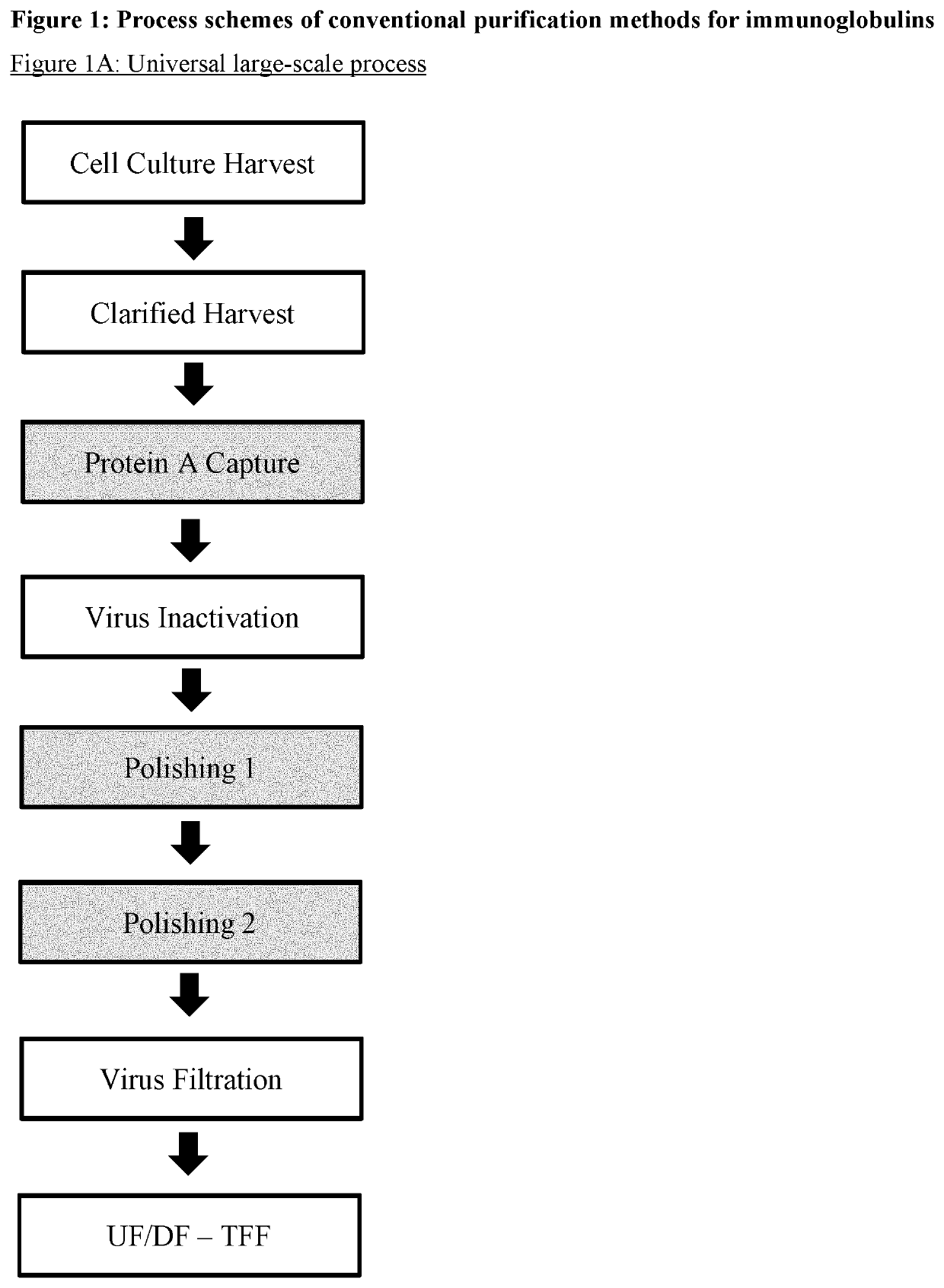 Improvement of affinity chromatography of immunoglobulins by using pre-capture flocculation