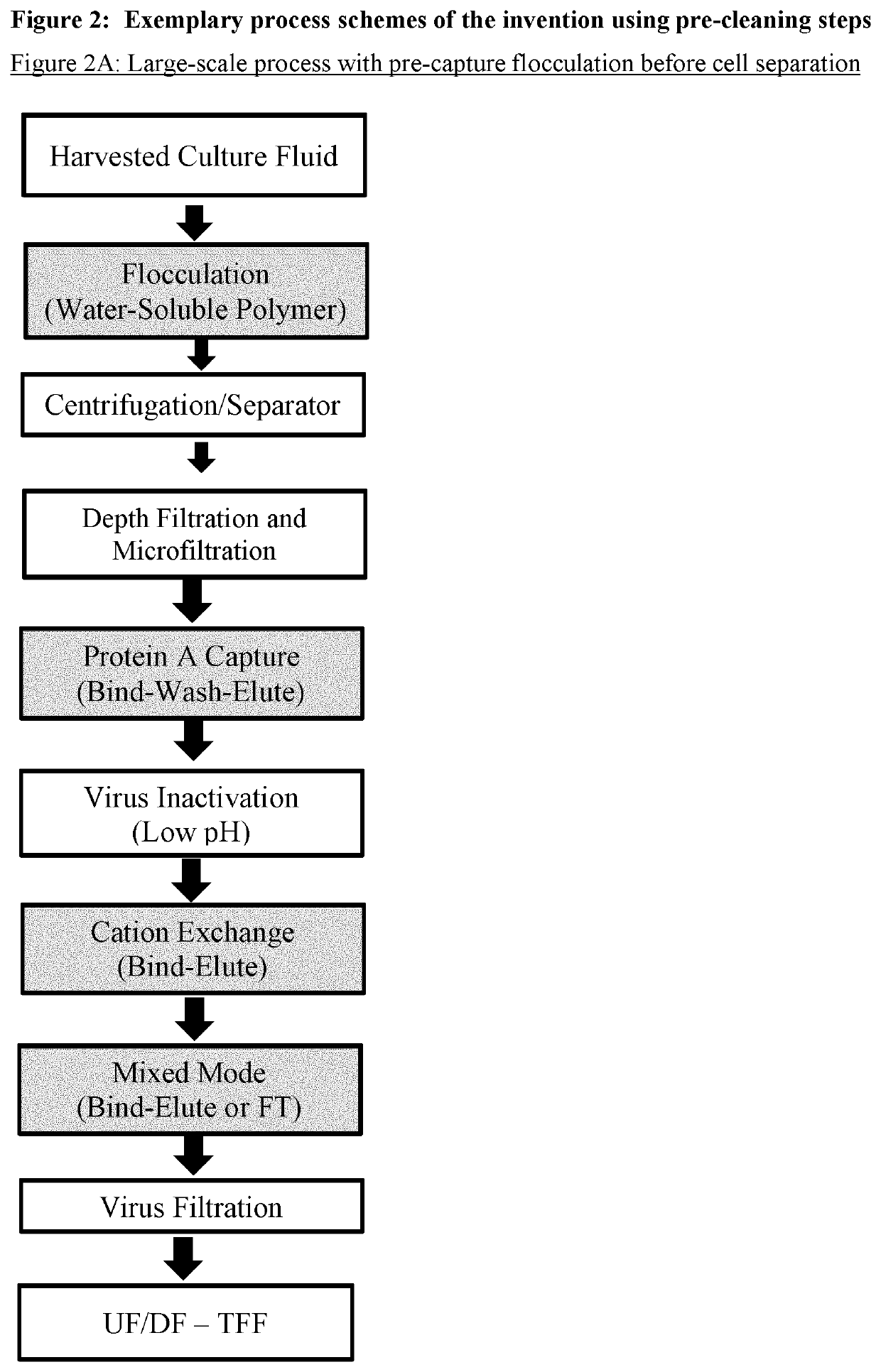 Improvement of affinity chromatography of immunoglobulins by using pre-capture flocculation