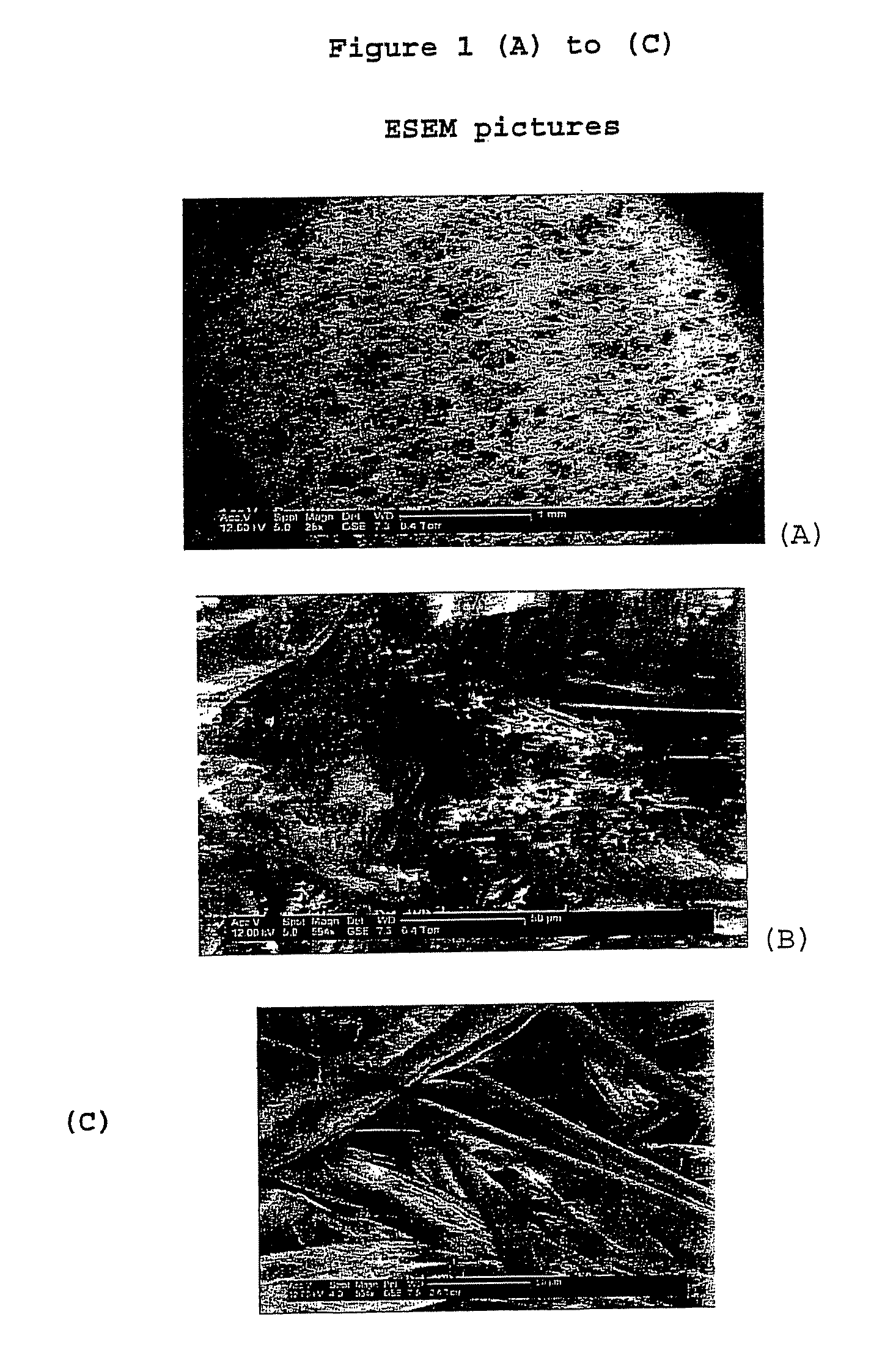 Absorbent article with a strongly hydrophobic layer