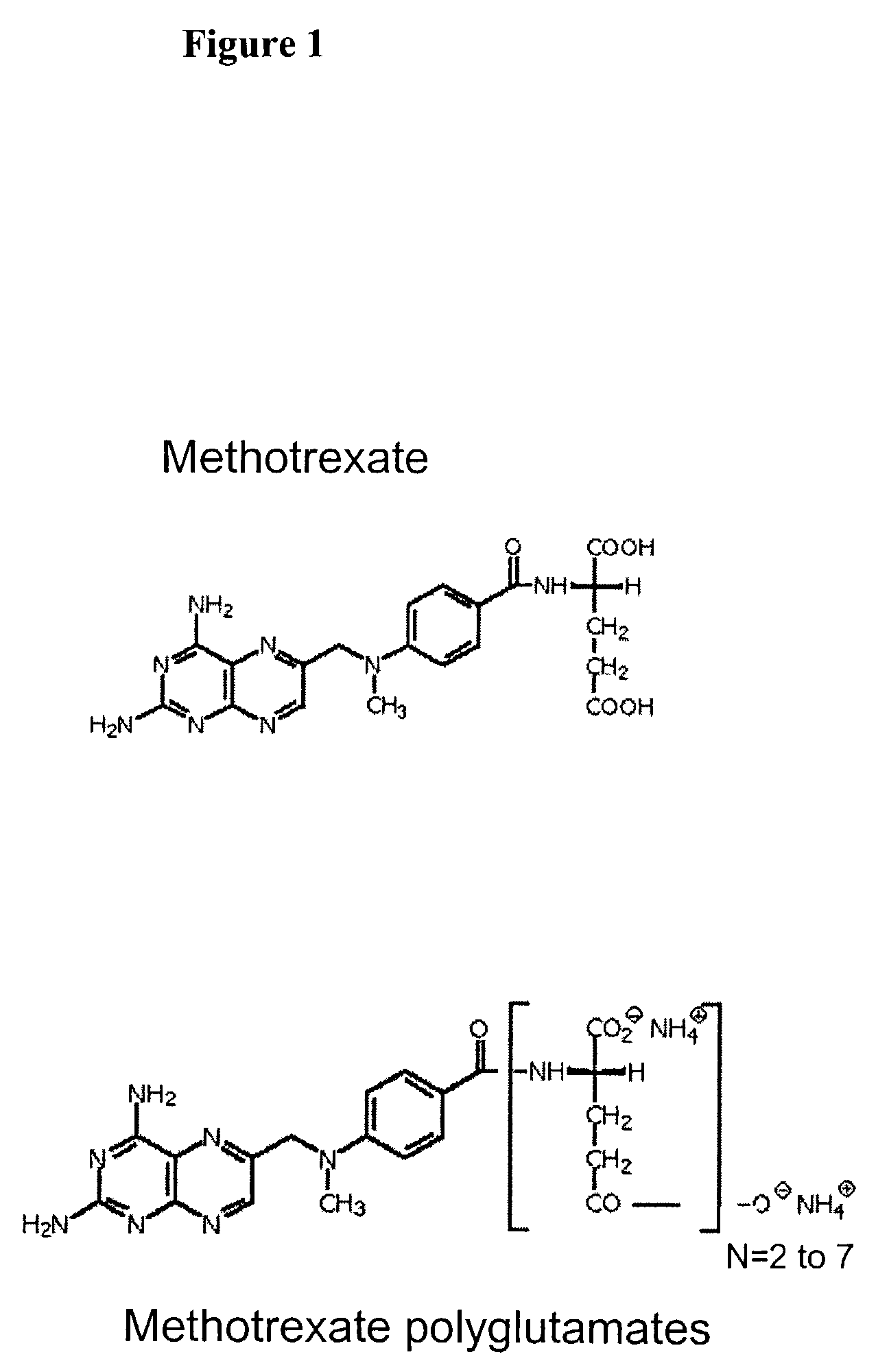 Methods of quantifying methotrexate metabolites