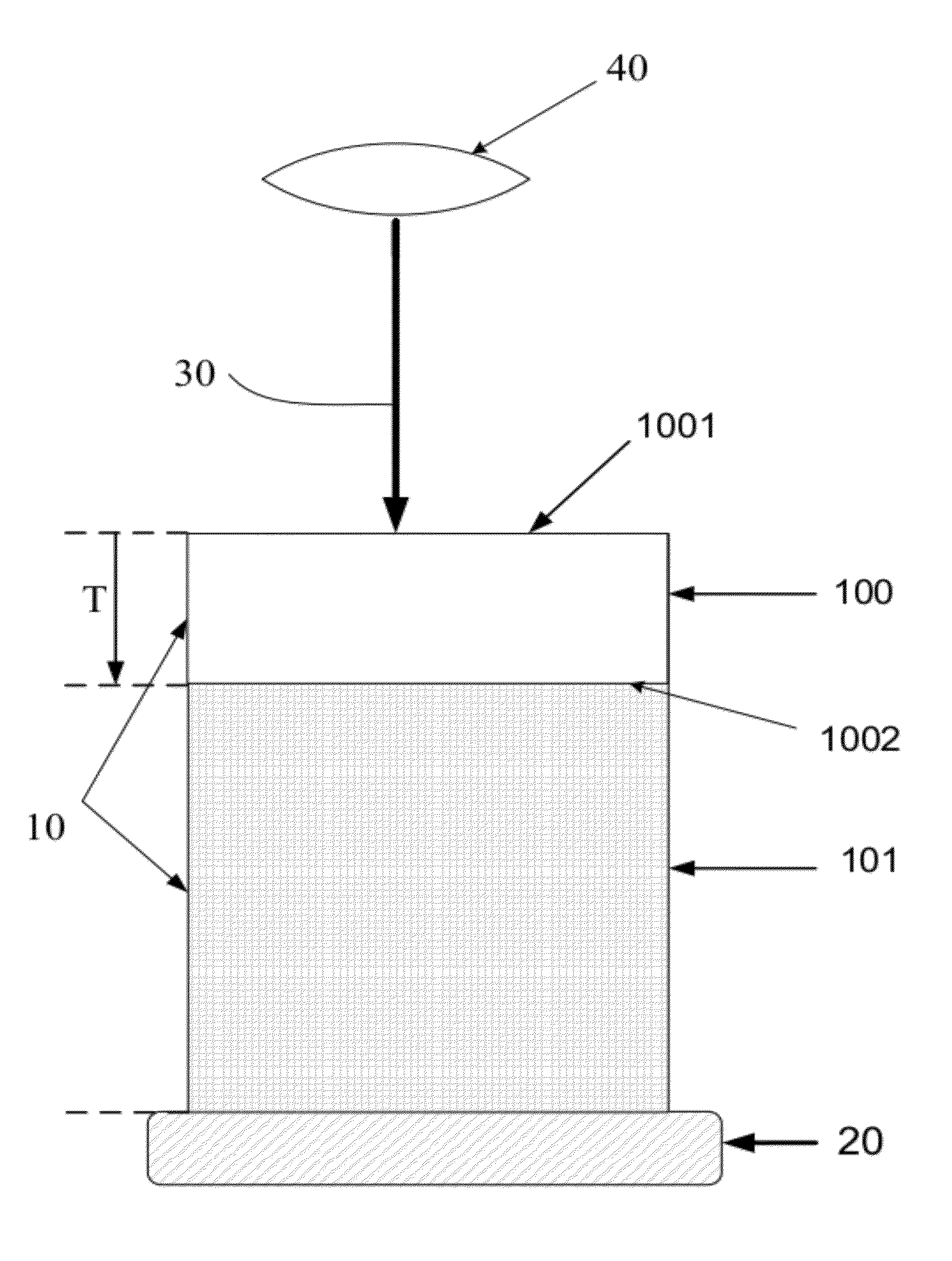 Method for 3-dimensional microscopic visualization of thick biological tissues