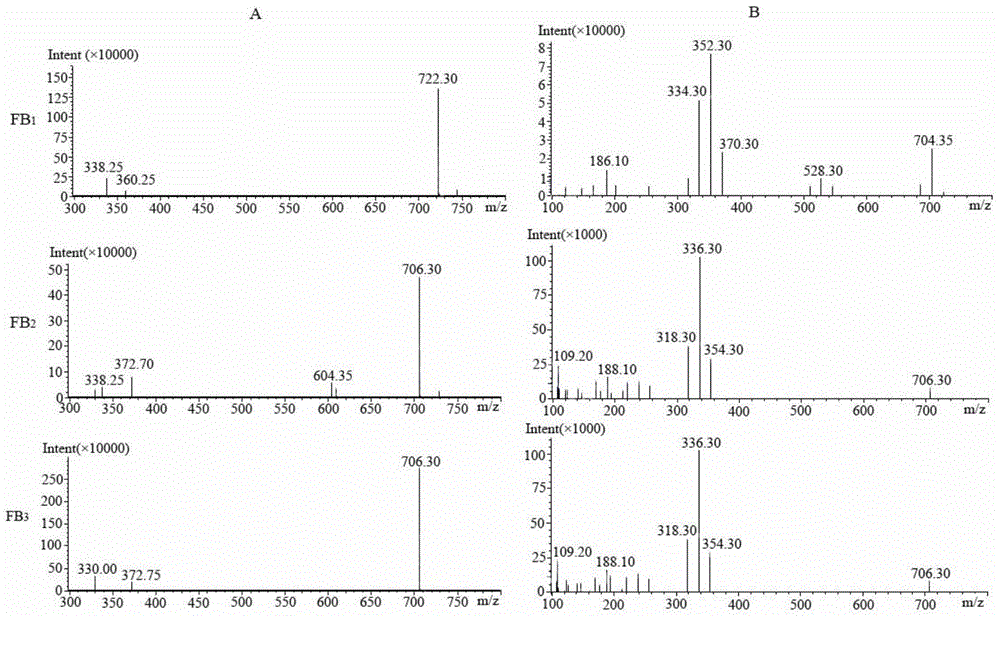 Method for simultaneously preparing standards of fumonisins B1, B2 and B3