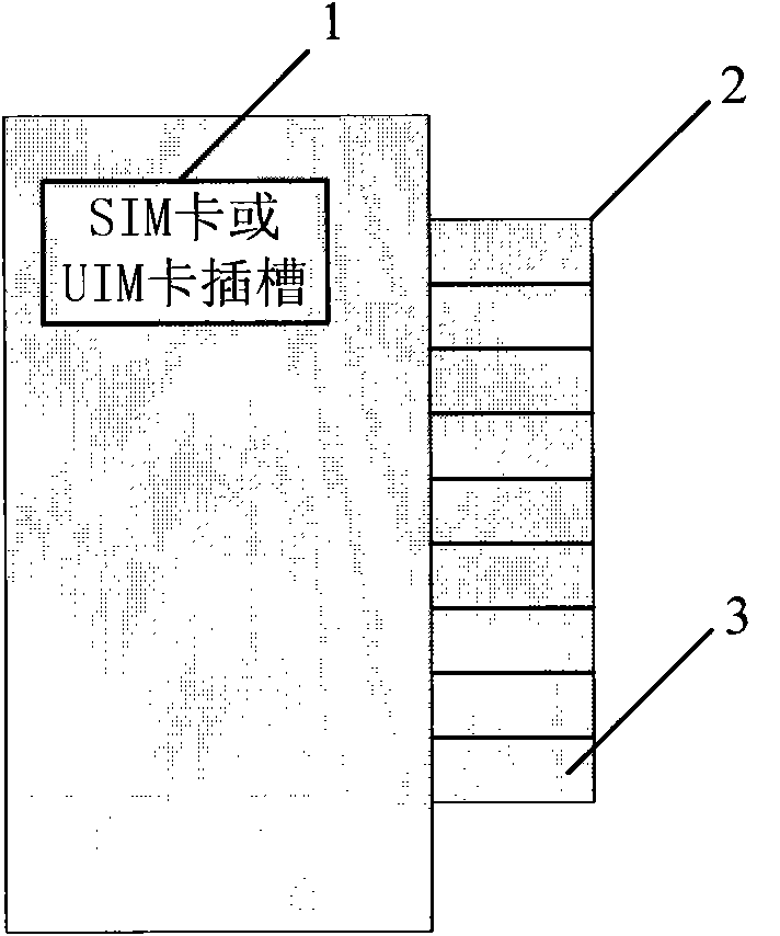 Cell phone apparatus capable of replacing different network formats and implementation method thereof