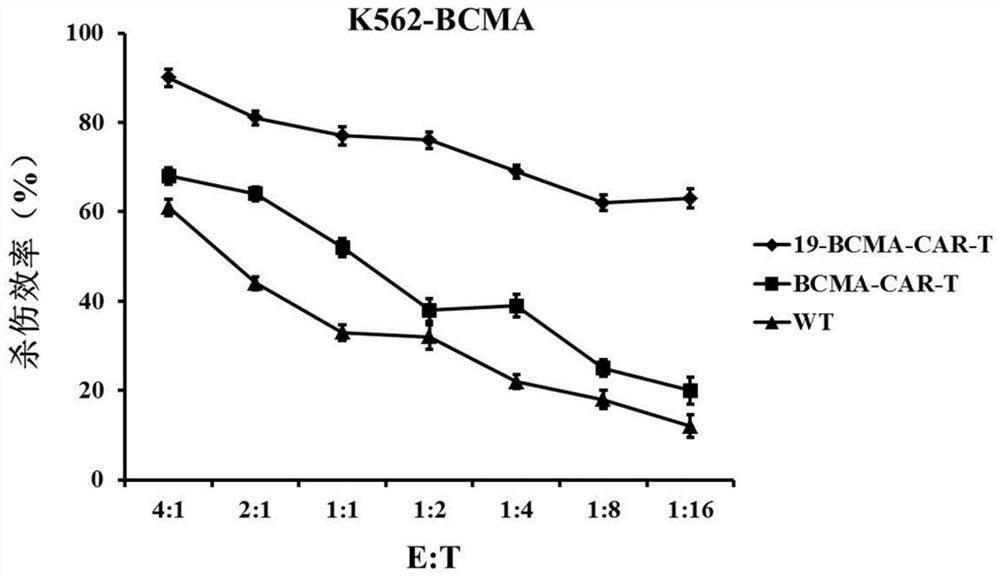 CD19 and BCMA double-target chimeric antigen receptor and application thereof