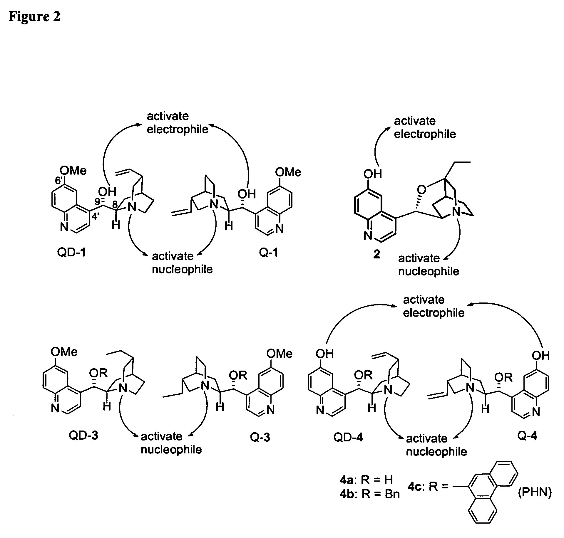 Asymmetric Michael and Aldol additions using bifunctional cinchona-alkaloid-based catalysts
