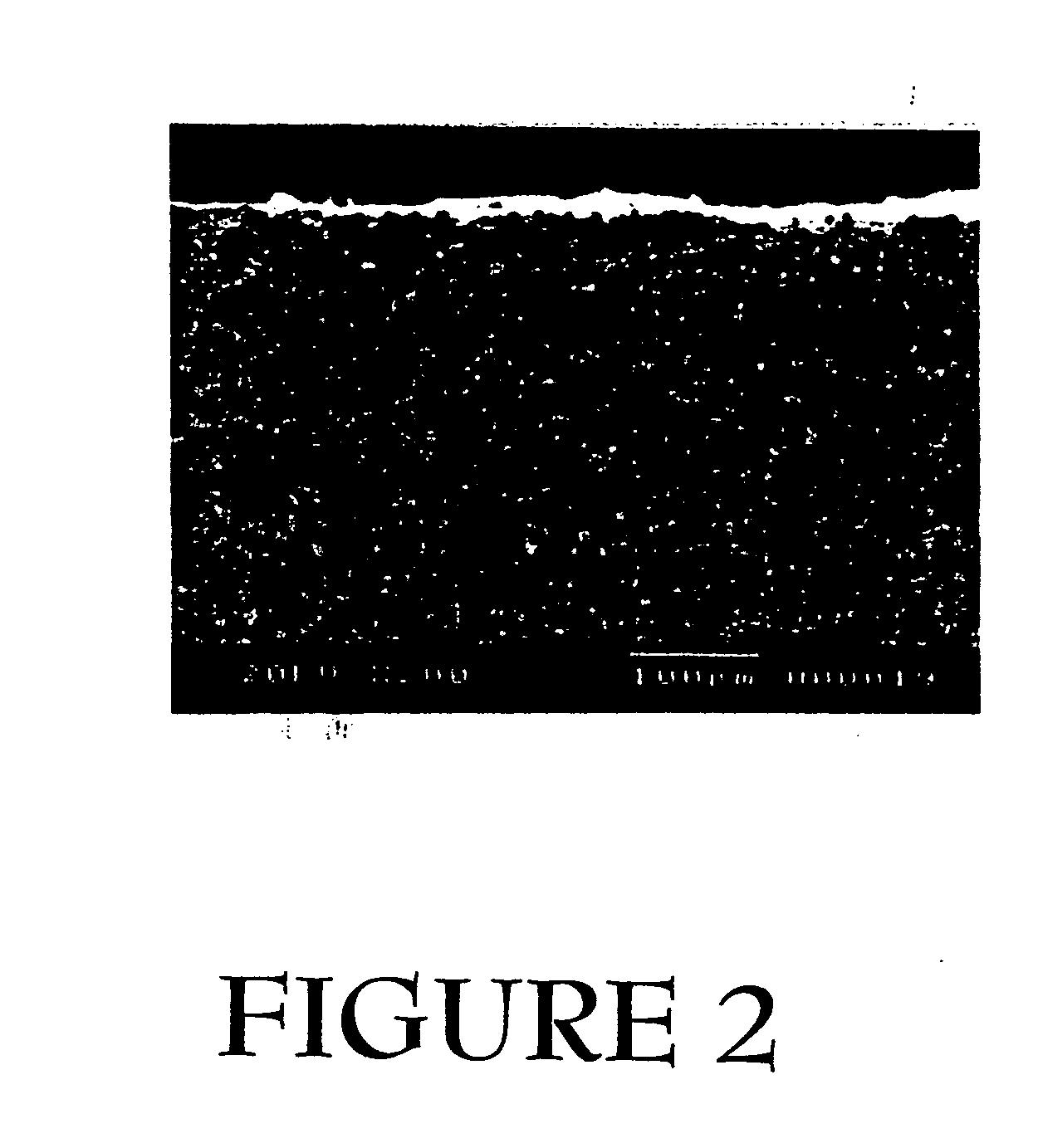 Method for fabricating a hydrogen separation membrane on a porous substrate
