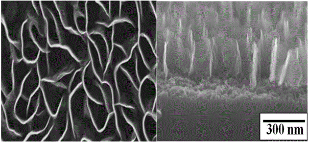 Method for patterning three-dimensional graphene nanowall through laser etching