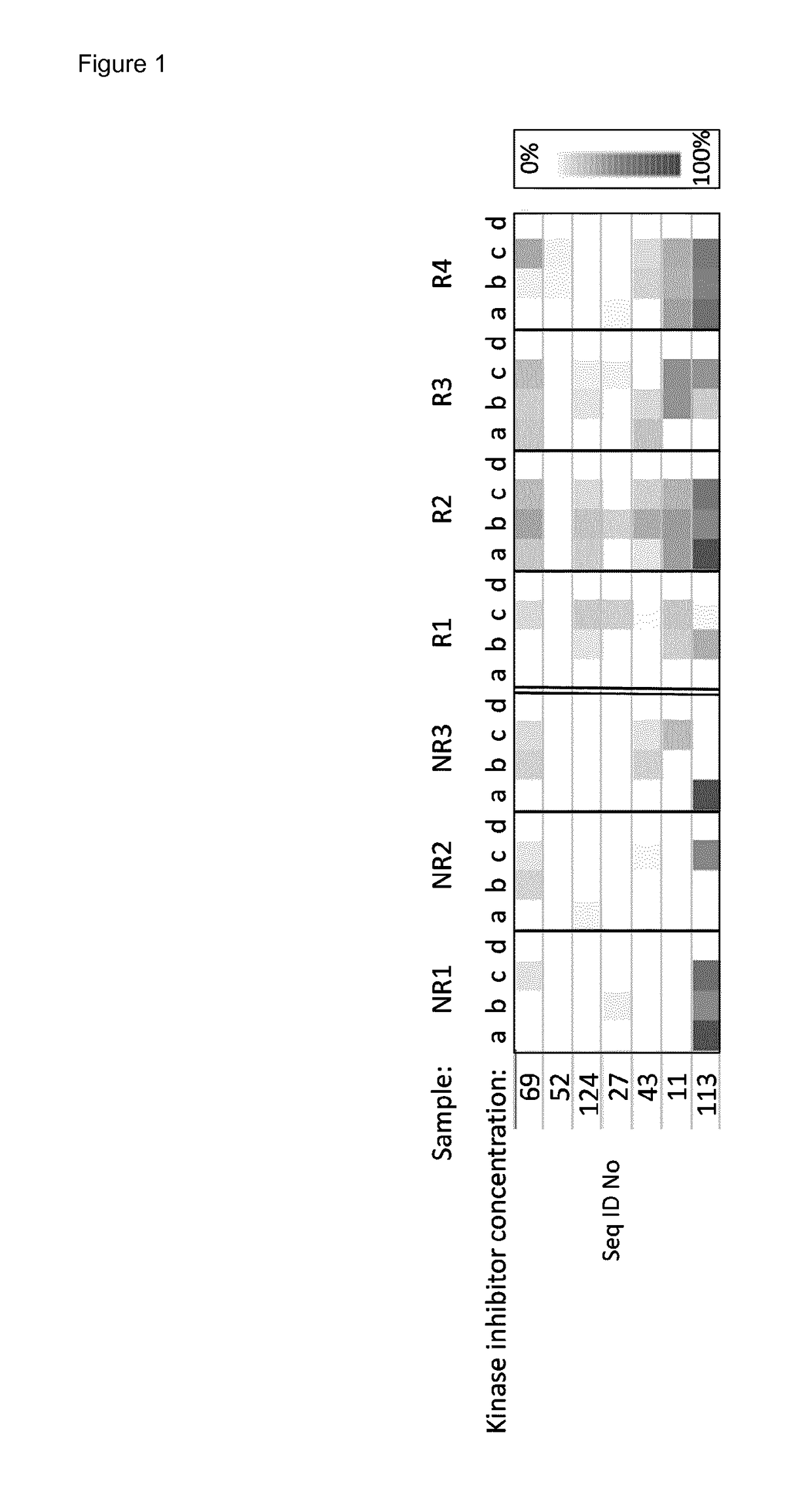 Method for predicting the response of melanoma patients to targeted pharmacotherapy