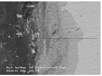 Surface nanocrystallization manufacture method for improving oxidation resistance performance of heat resistant steel