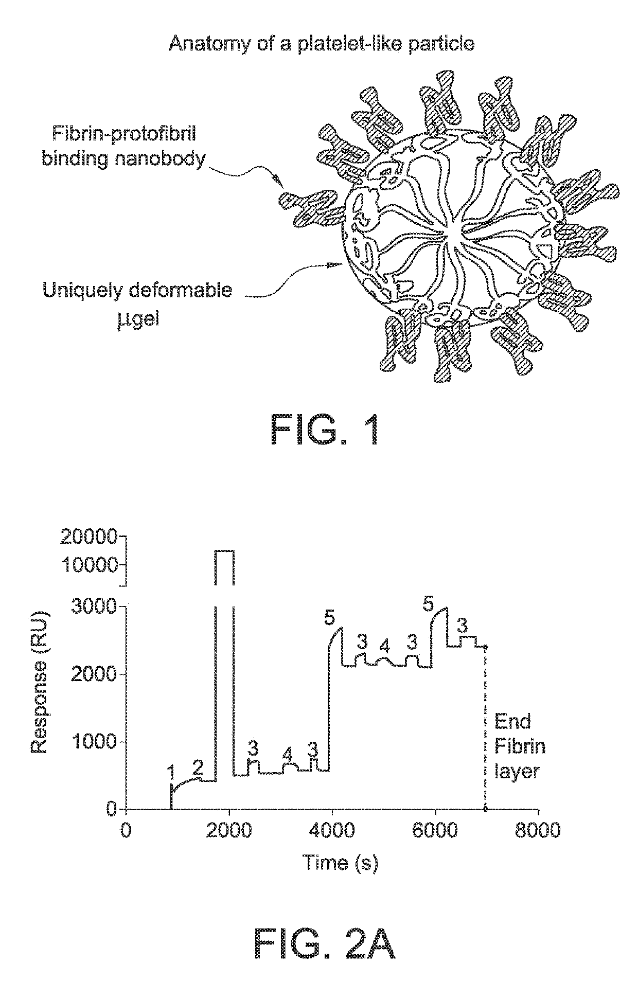 Functionalized microgels with fibrin binding elements