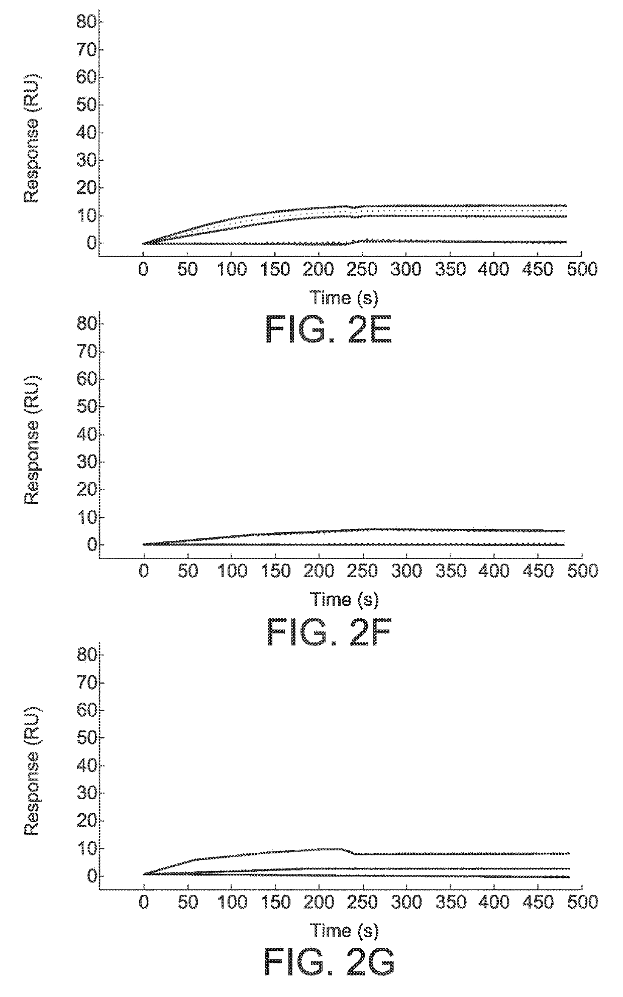 Functionalized microgels with fibrin binding elements