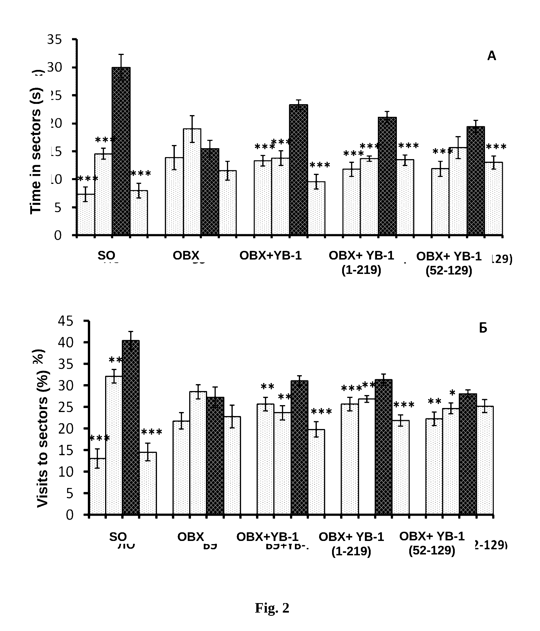 Application of yb-1 protein and fragments thereof for preparing medicinal agents in treating alzheimer's disease