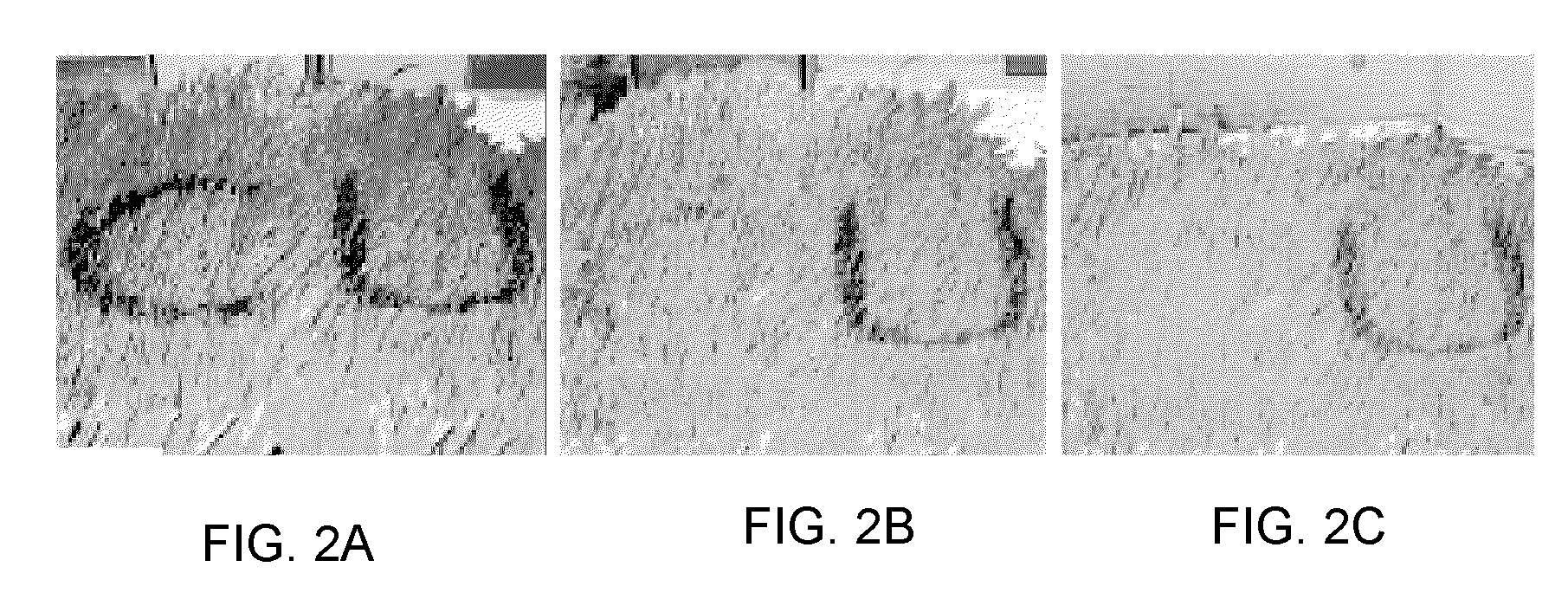 Removable Coating and Application Method
