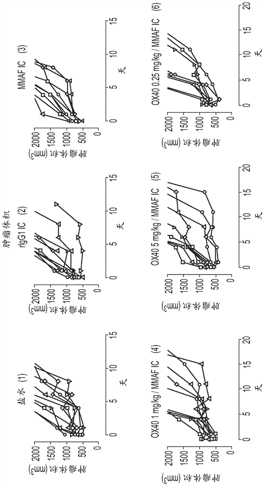 Belantamab mafodotin in combination with pembrolizumab for treating cancer