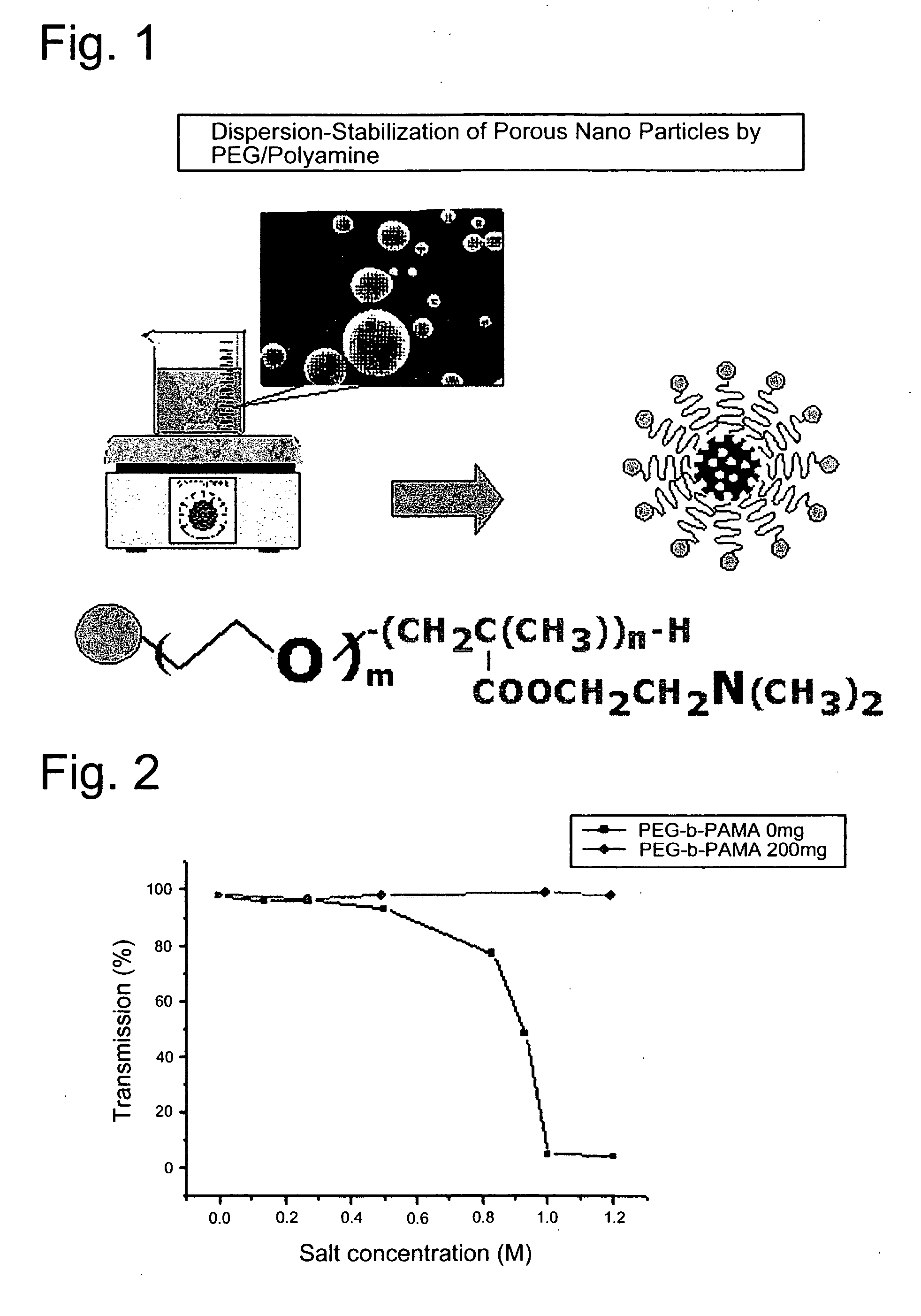 Conjugate of fine porous particles with polymer molecules and the utilization thereof