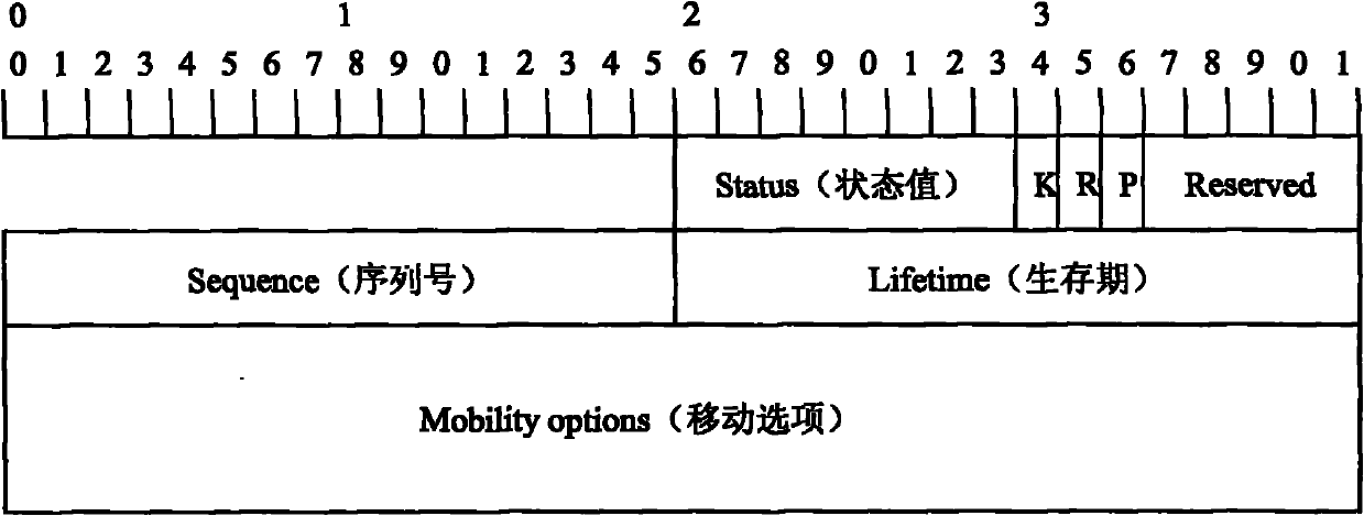 Multiple LMA selection method in mobile node switching process in PWIPv6 domain