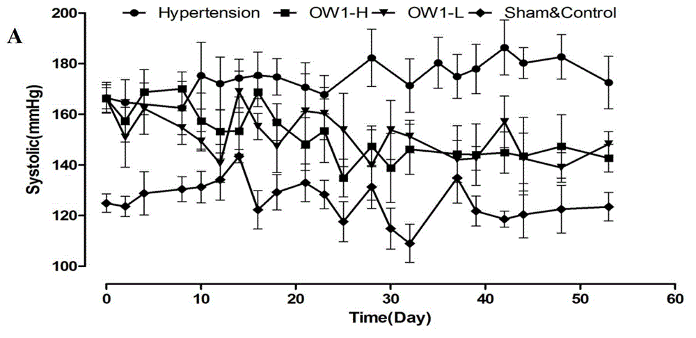 Compound with antihypertensive activity and preparation method thereof