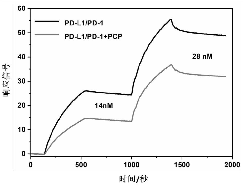 Anti-tumor polypeptide nano-drug carrier targeting PD-L1 and application thereof