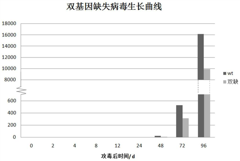 A swollen cell virus vsocs/vtk double gene knockout strain and its preparation method and application