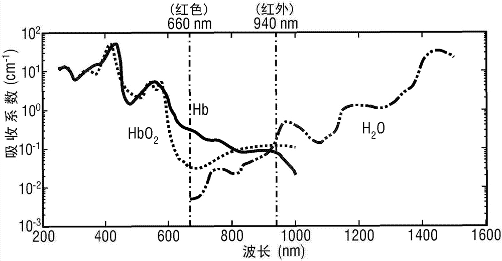 Non-invasive dehydration monitoring