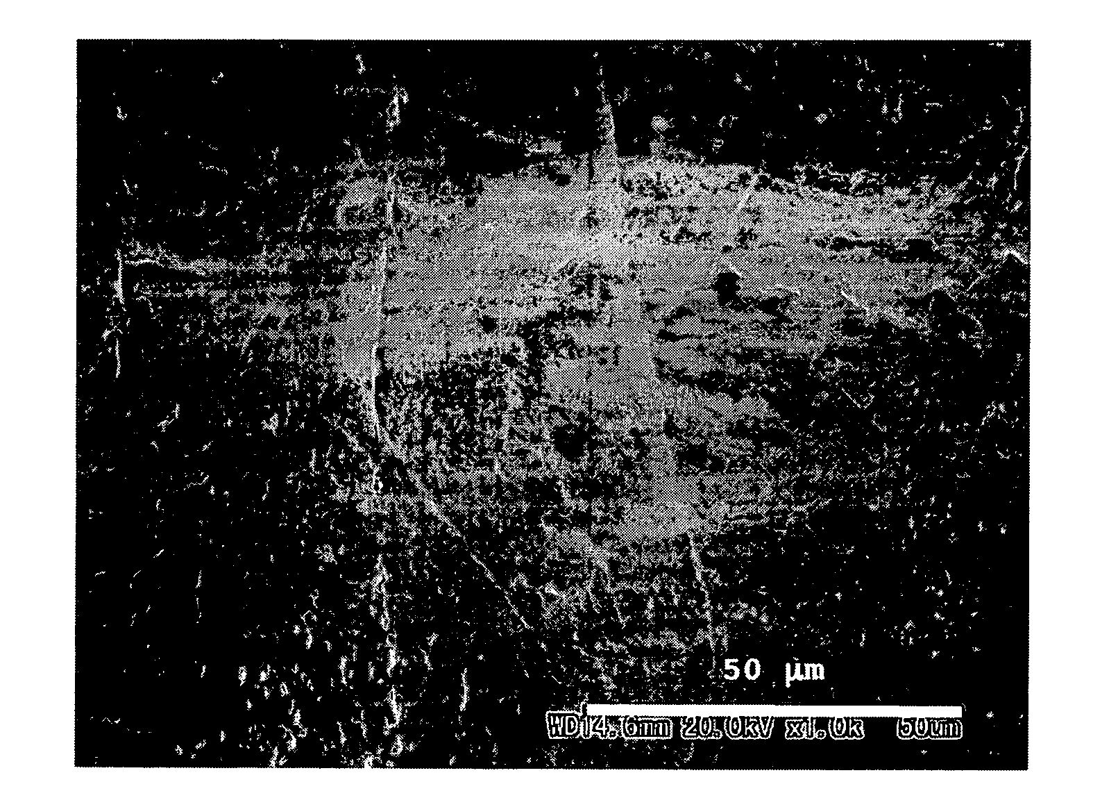 Novel polypeptide and process for producing the same