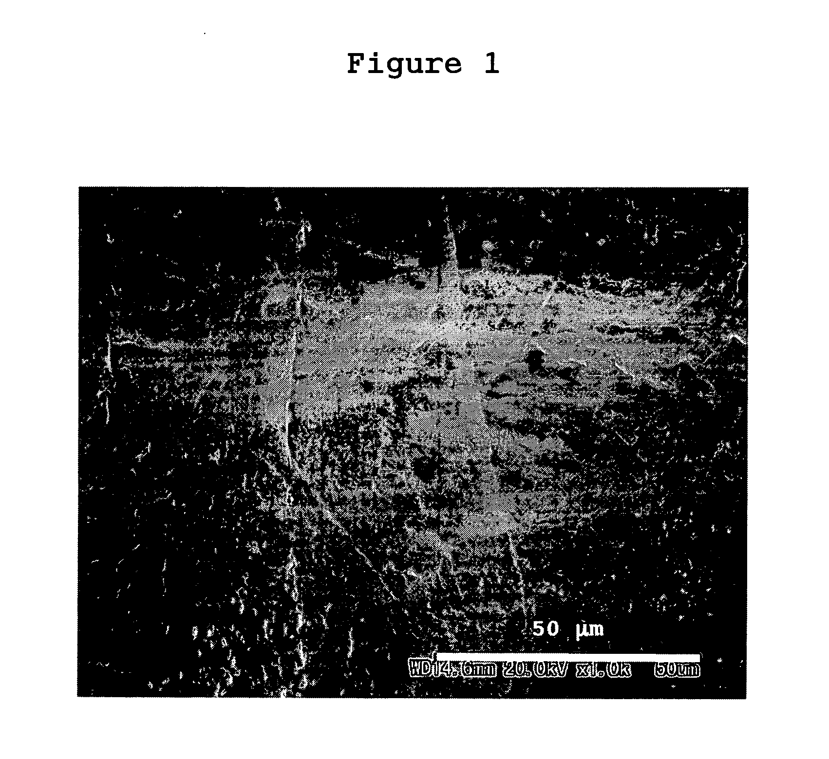 Novel polypeptide and process for producing the same
