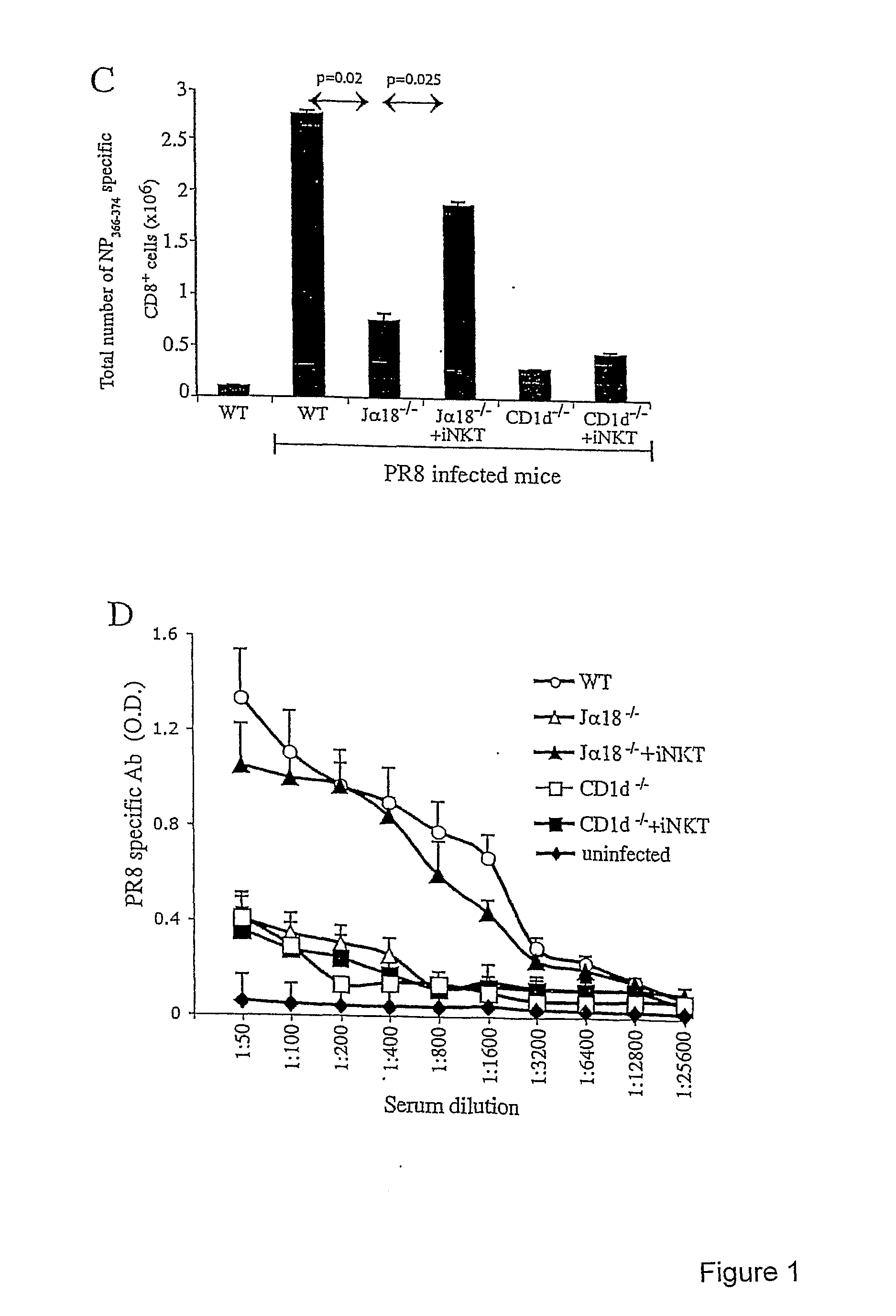 Use of inkt or tlr agonists for protecting against or treating a disease such as acute infection or cancer