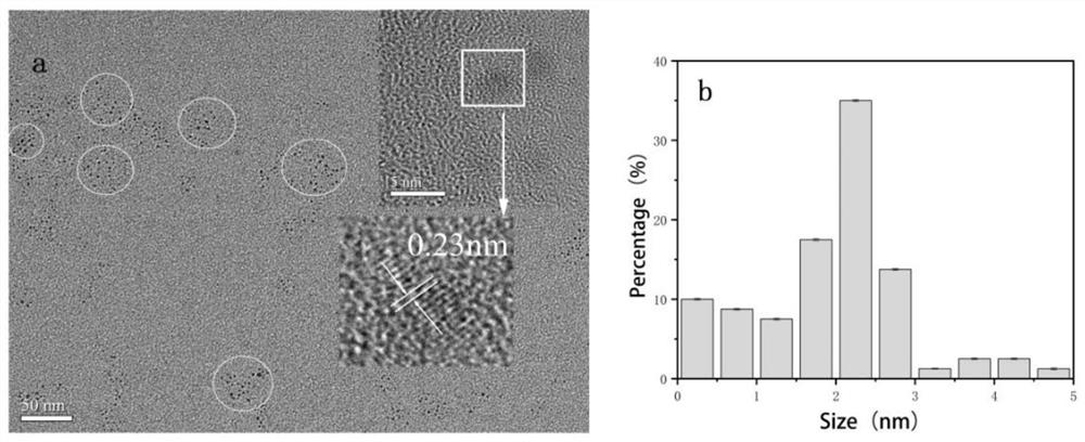 Carbon quantum dot fluorescent probe and method for detecting content of thiamphenicol