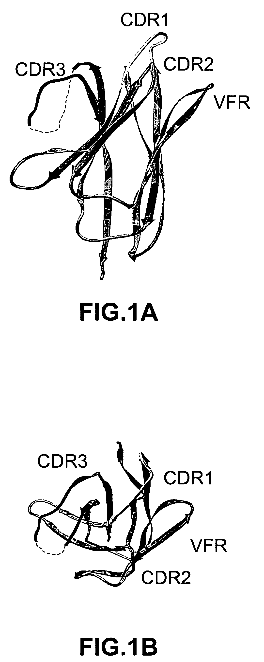 Variable domain library and uses
