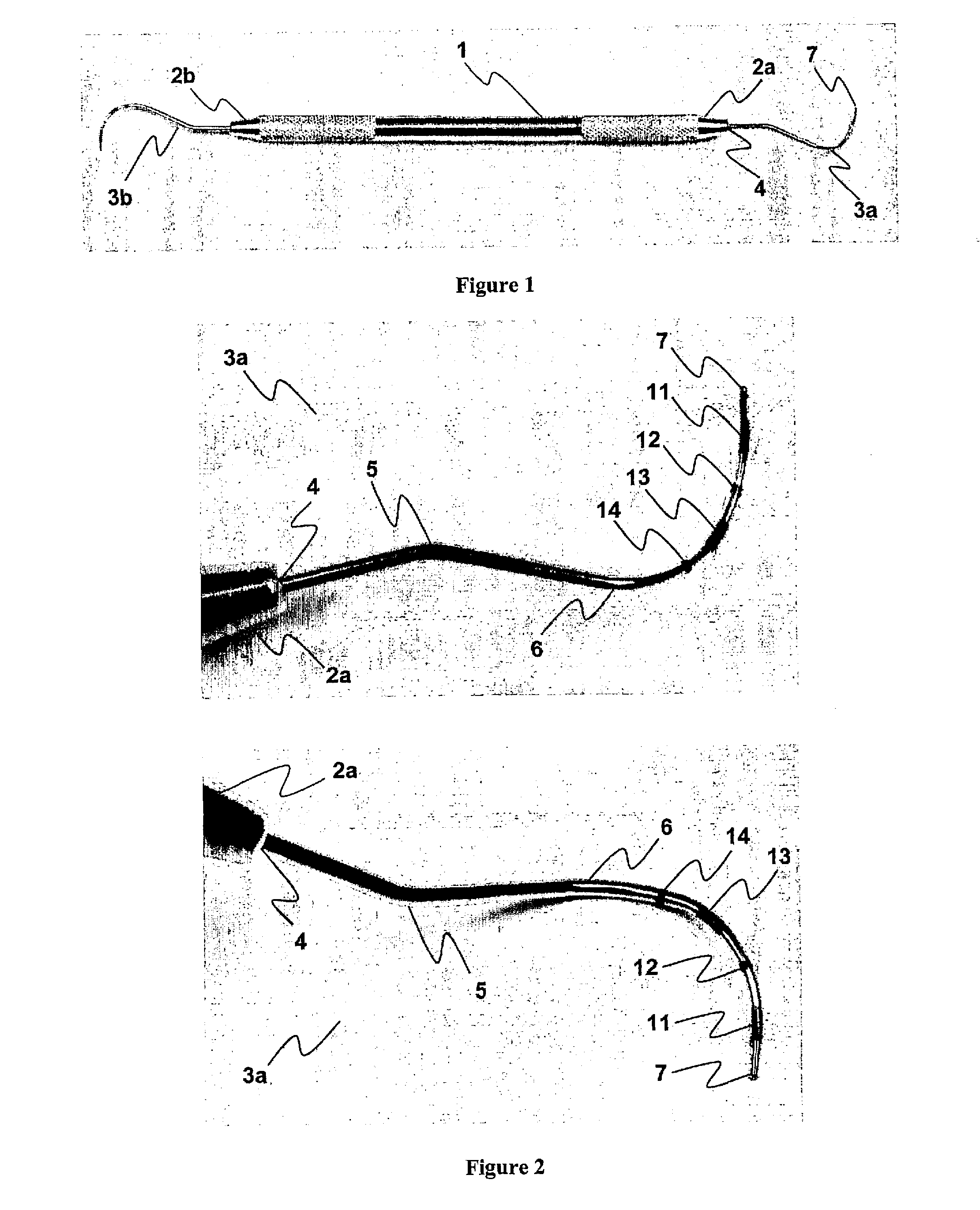 Method and Tool For Oral Substrate Measurement In Animals