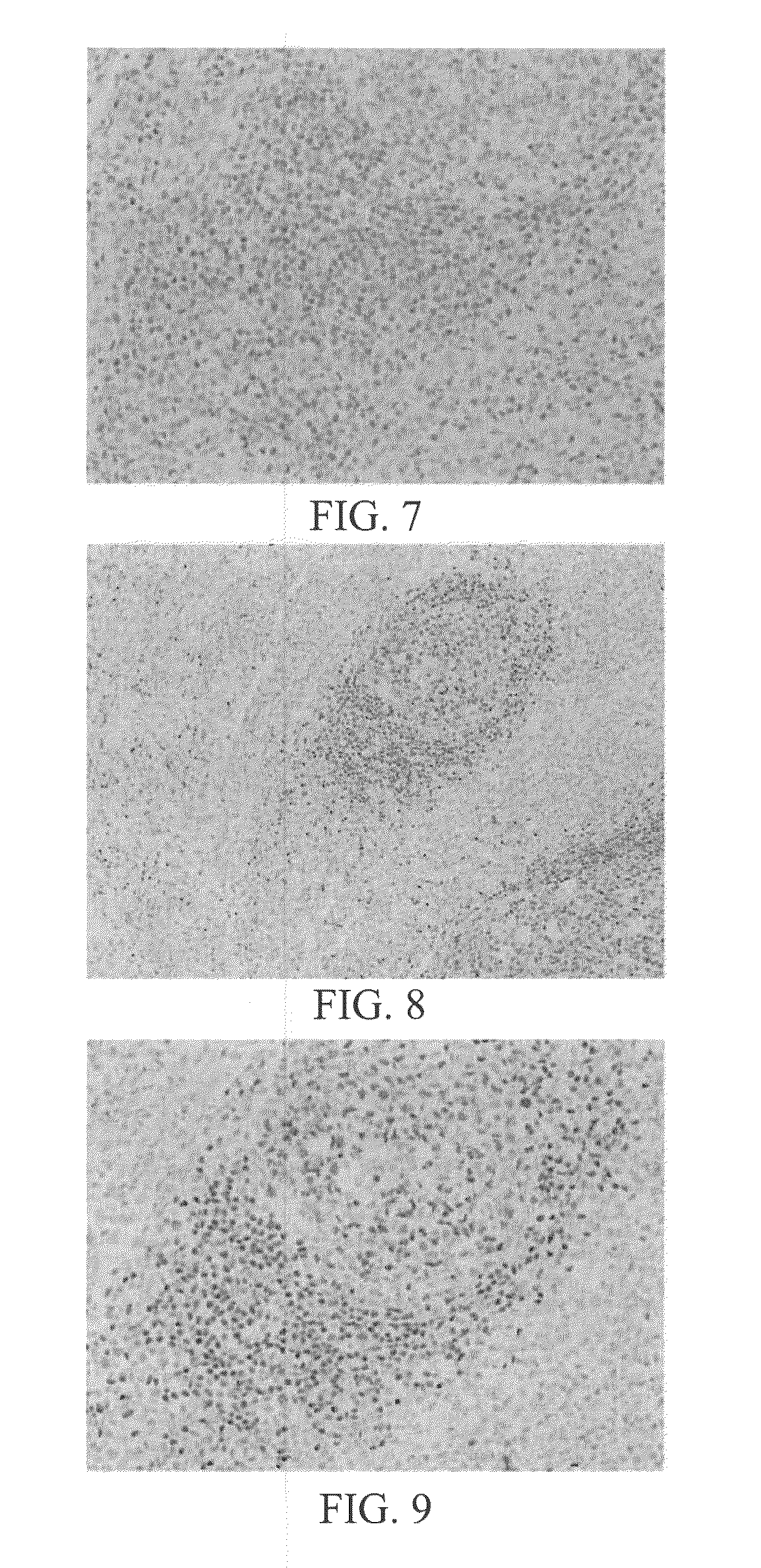 Systems and Methods for Anti-PAX8 Antibodies