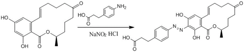 Immunomagnetic beads for gathering purification of zearalenone and preparing method and application of immunomagnetic beads