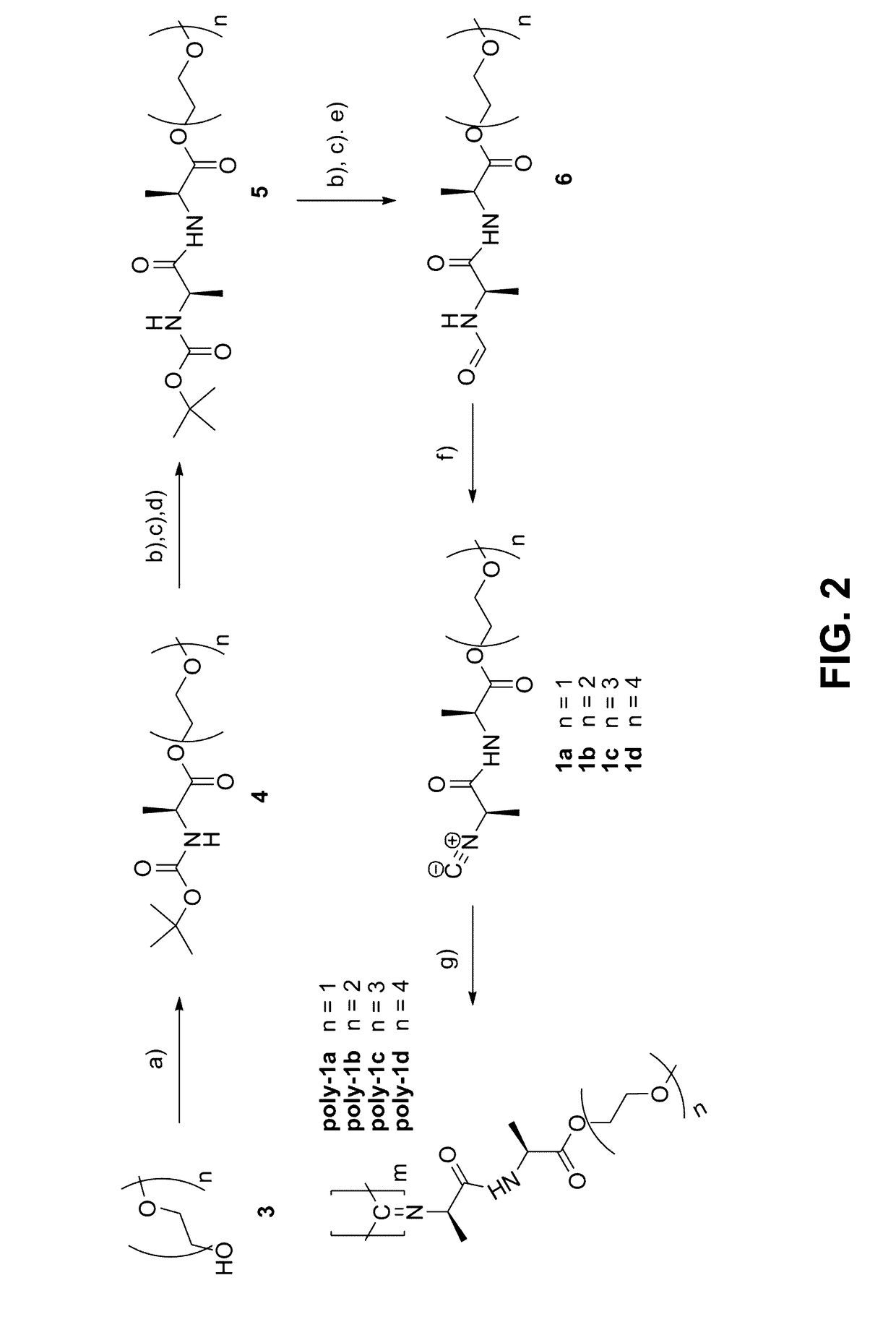 Method for the preparation of high molecular weight oligo(alkylene glycol) functionalized polyisocyanopeptides