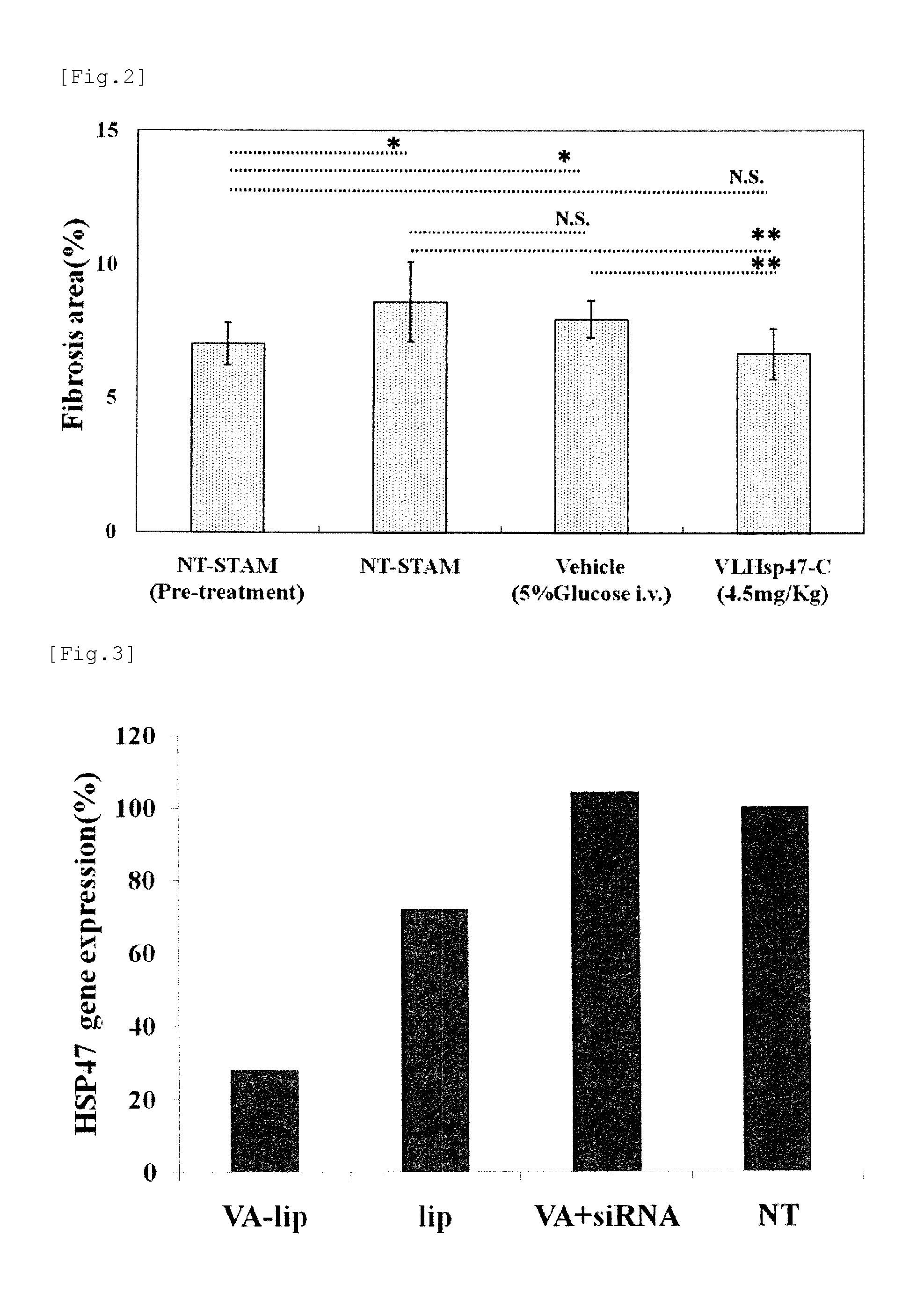 Agent for treating renal fibrosis