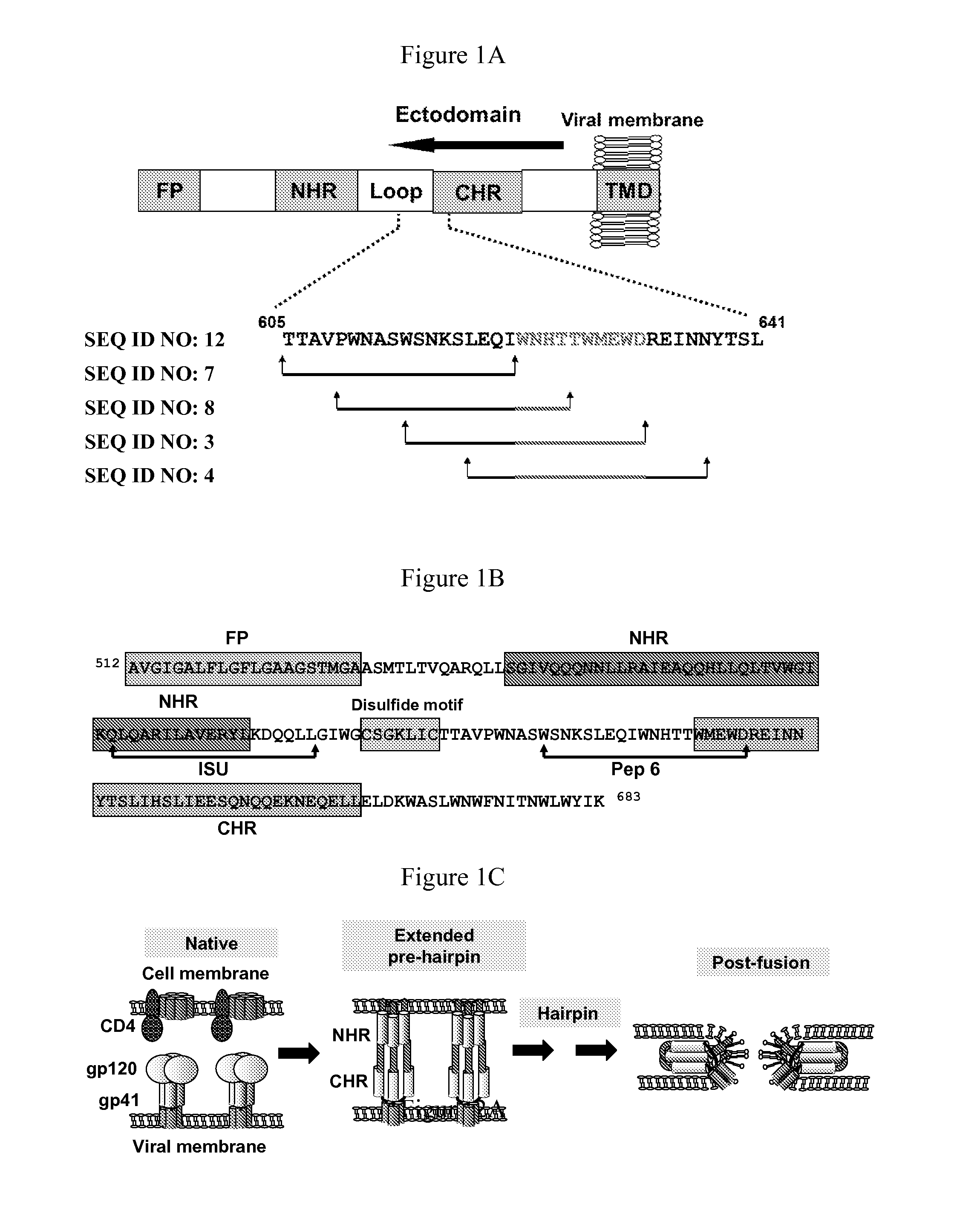 Peptides derived from HIV gp41 for treating t-cell mediated pathologies