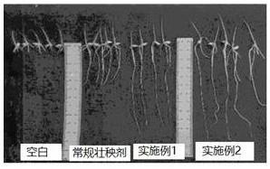 Rice seedling strengthening agent with phosphoric acid as pH regulator and phosphorus source and preparation method and application thereof