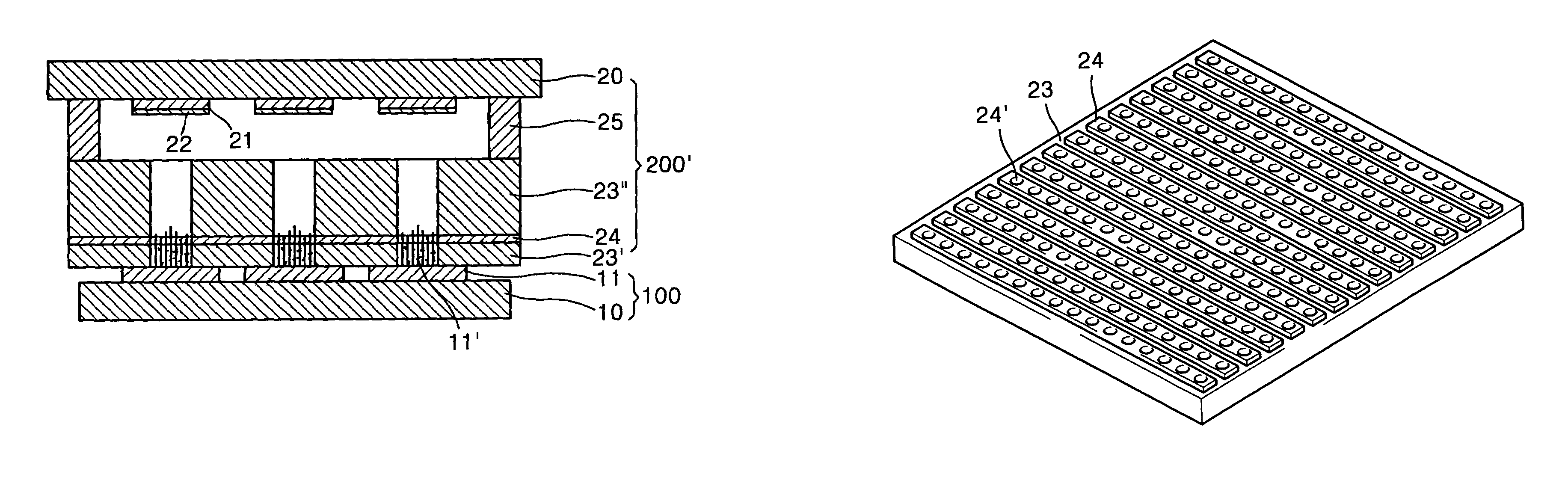 Field emission array with carbon nanotubes and method for fabricating the field emission array