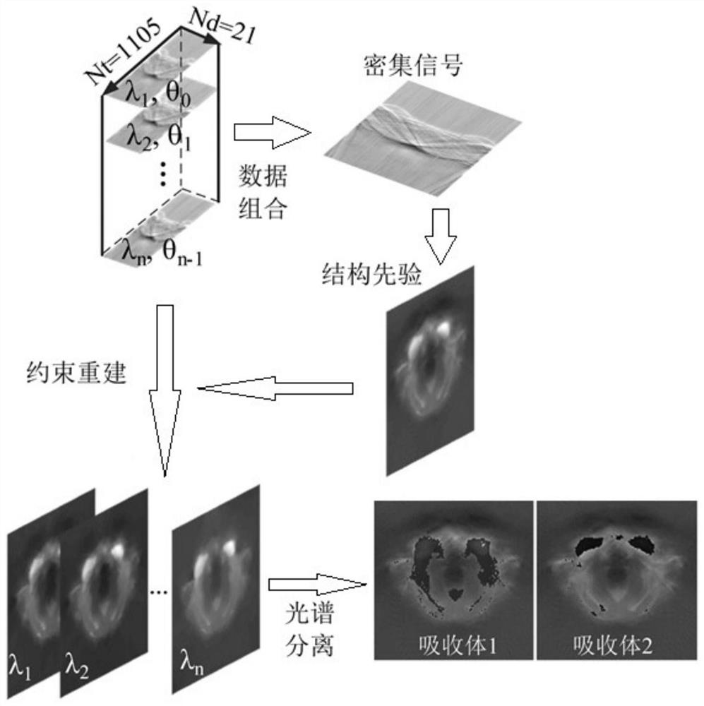 A system and method for staggered sparse sampling multispectral photoacoustic tomography