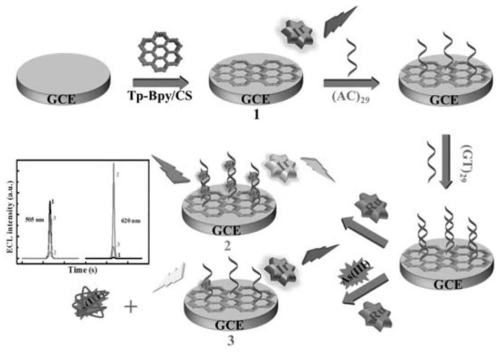 Electrochemical luminescence method taking covalent organic framework as coreactant and application of arsenite radical detection