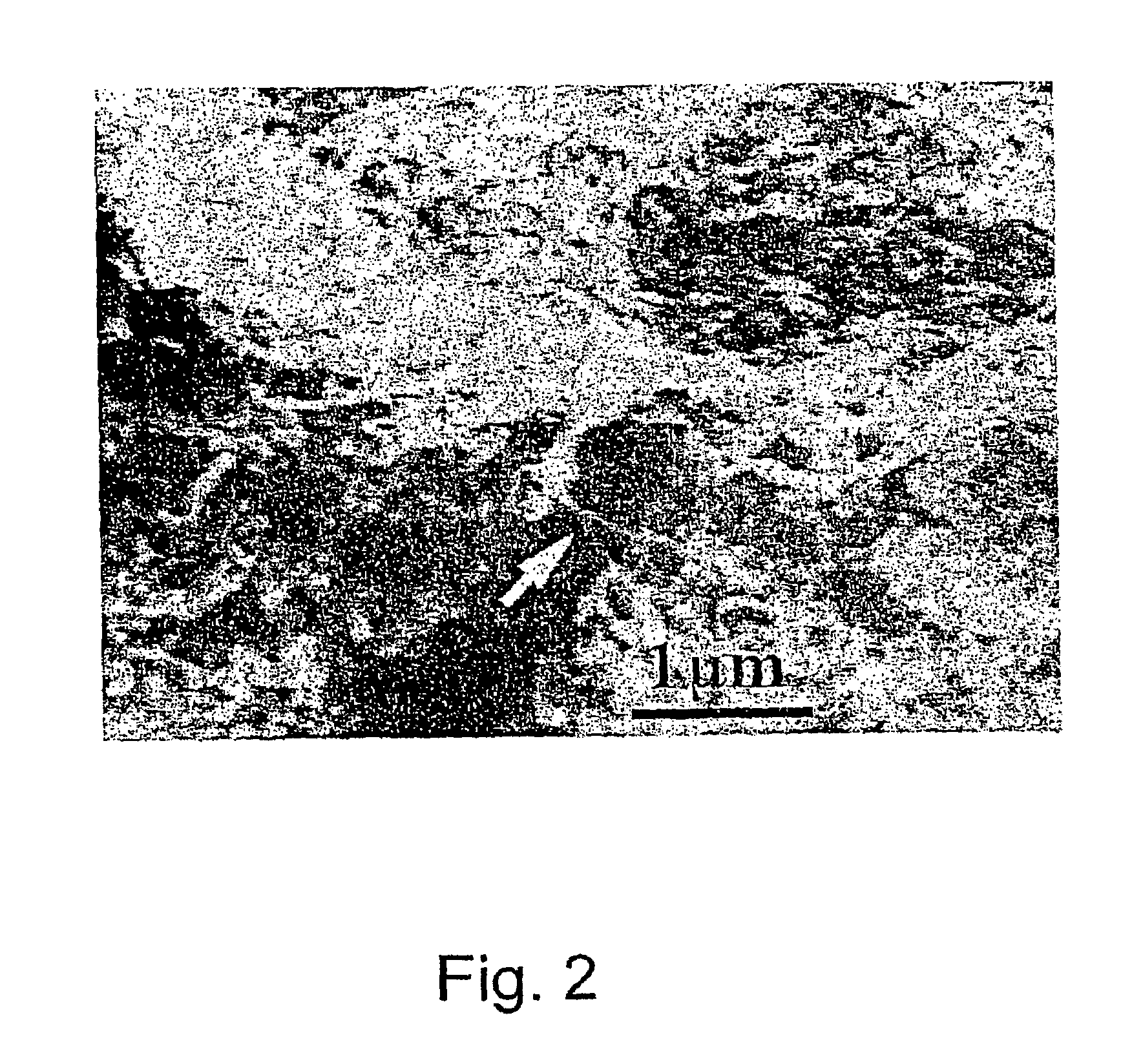 Method for the preparation of stable suspensions and powders of single carbon nanotubes