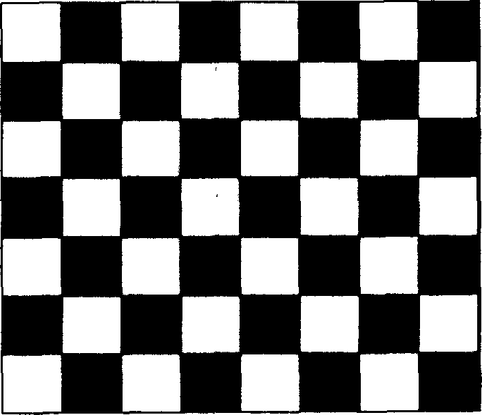 Method for calibarting lens anamorphic parameter