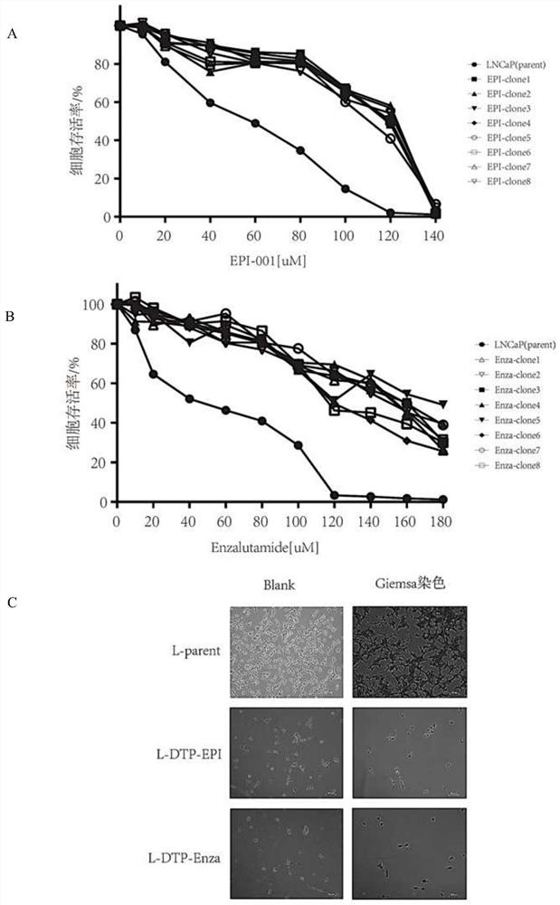 Application of auranofin in preparation of medicine for treating castration-resistant prostate cancer