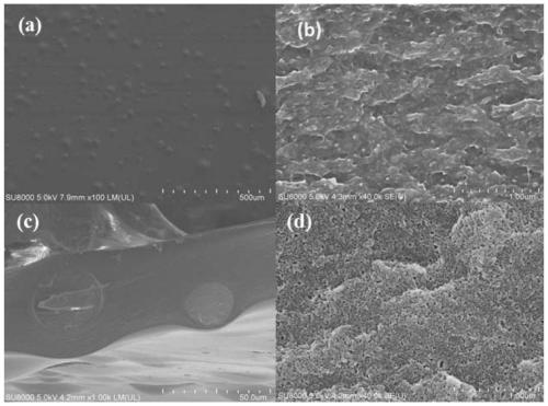 A kind of polymer adsorbent/cellulose acetate composite membrane material and its preparation method and application